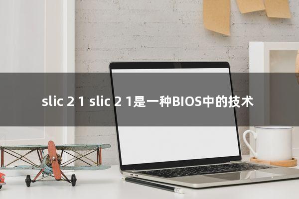 slic 2.1(slic 2.1是一种BIOS中的技术)